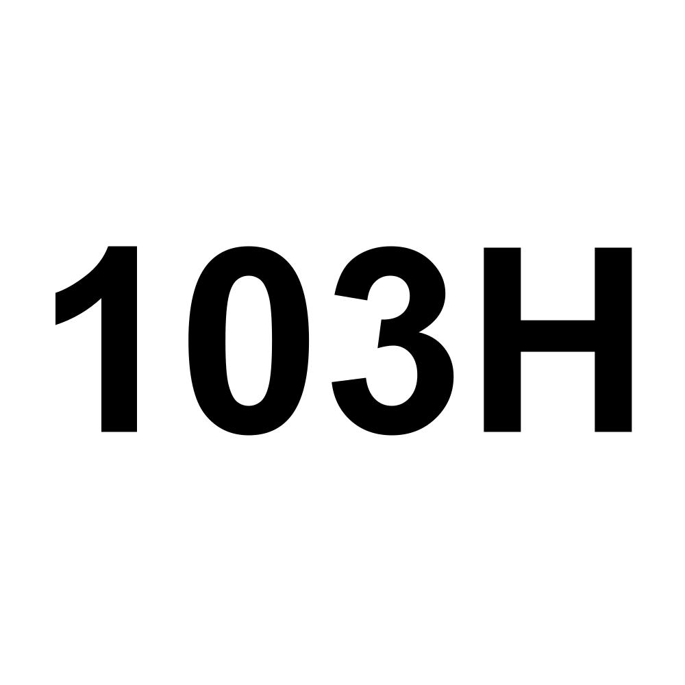 103H