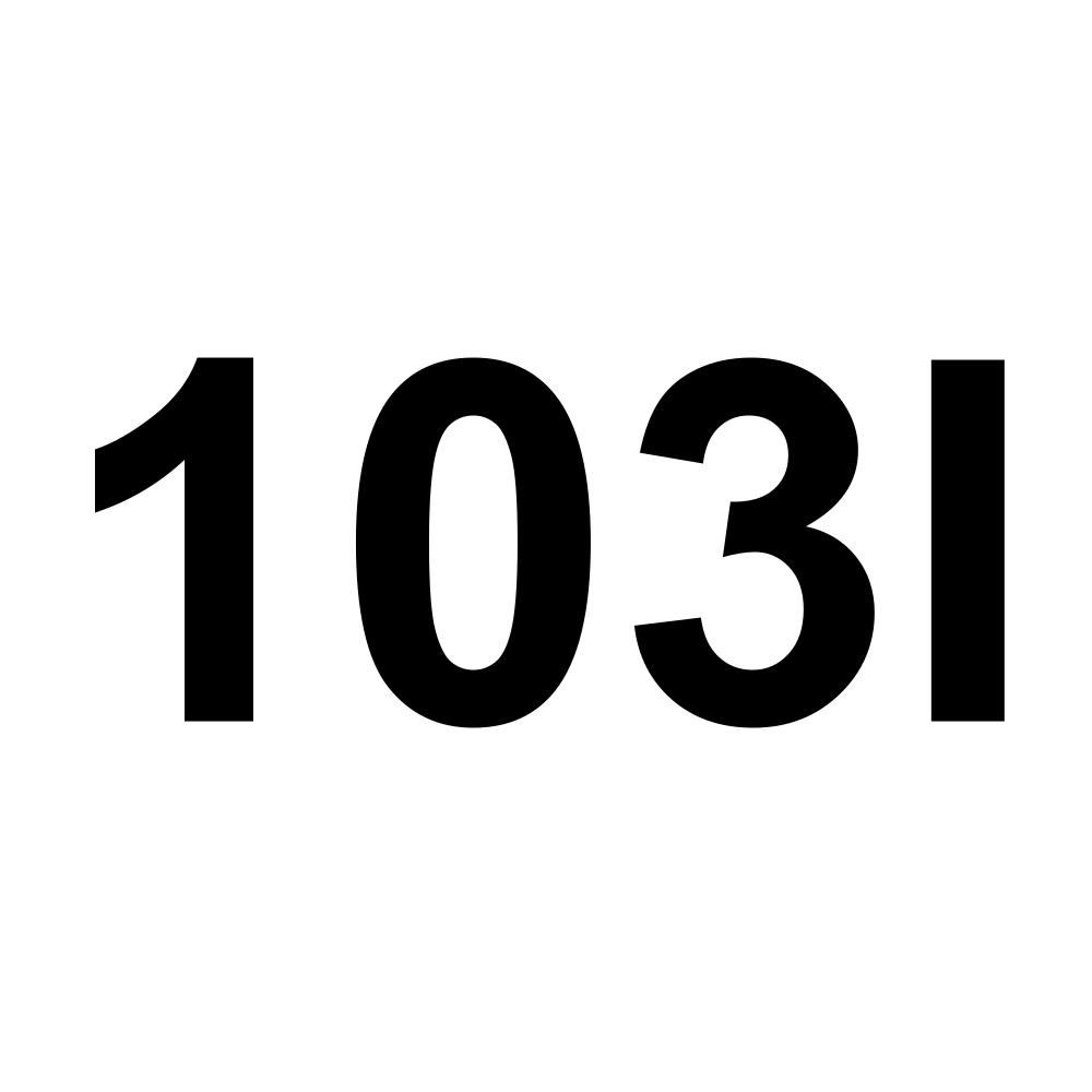 103I