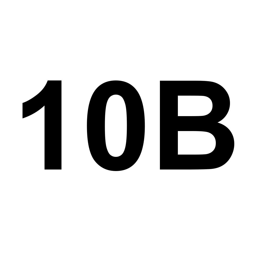 10B