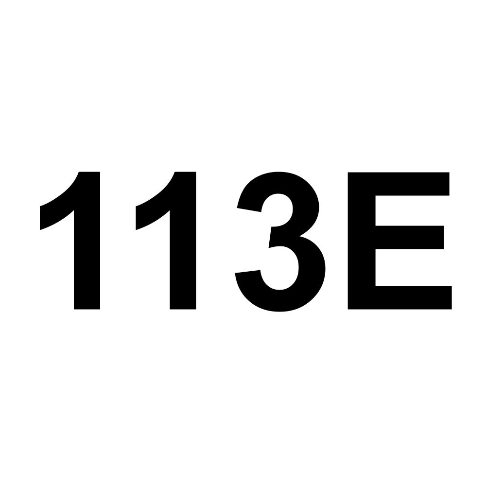 113E