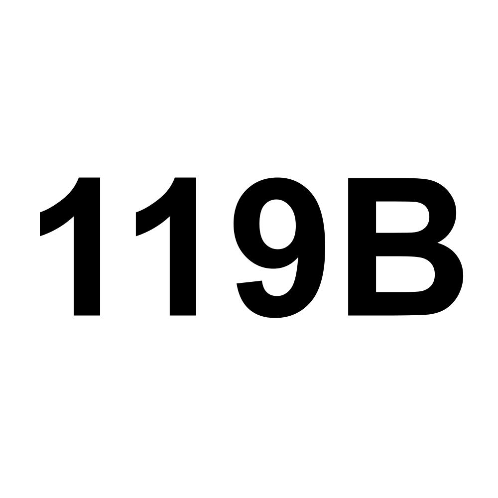 119B