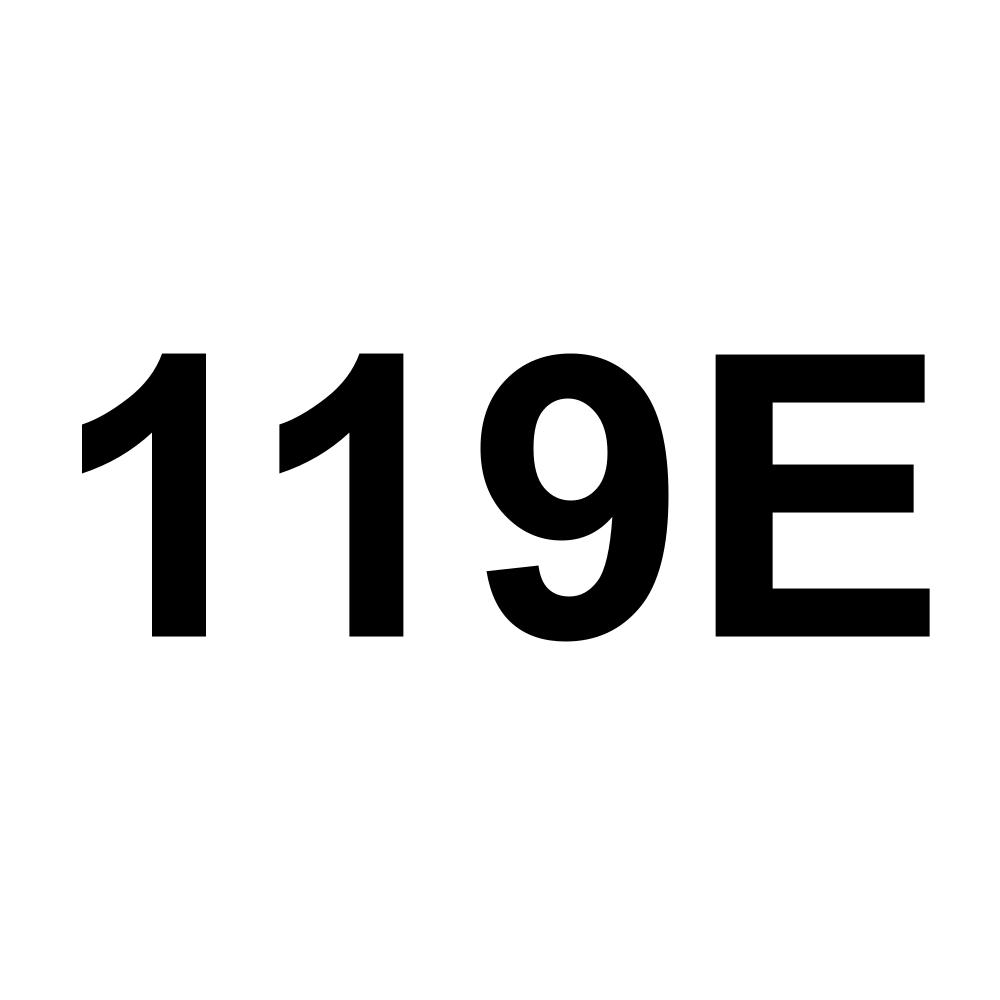 119E