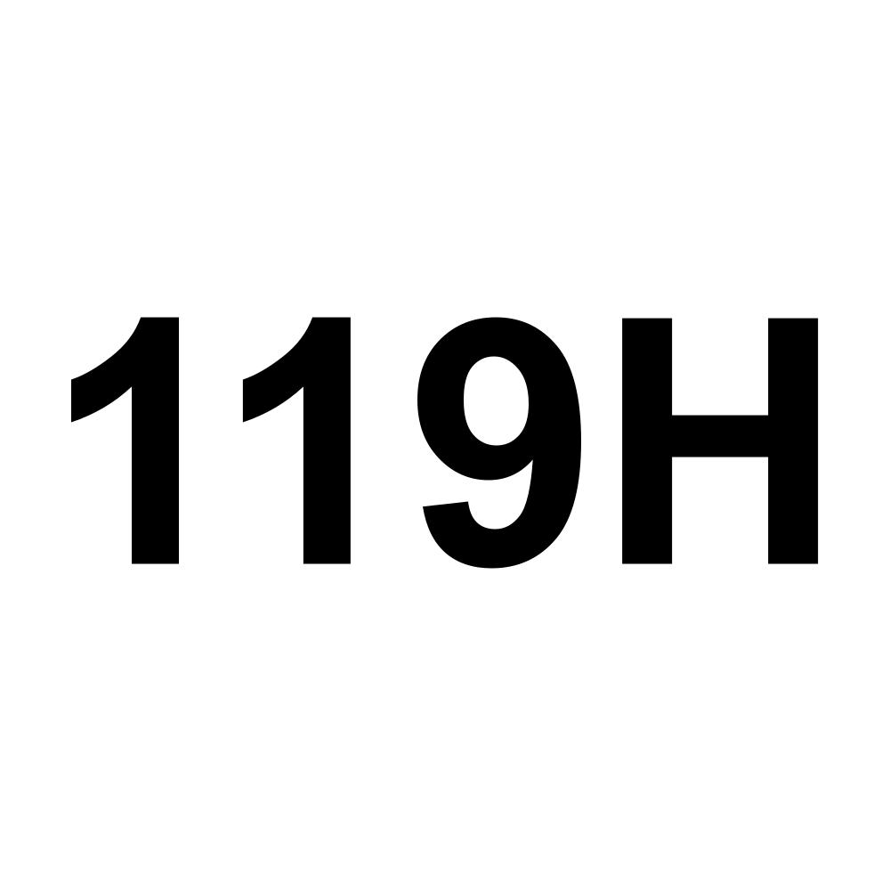 119H