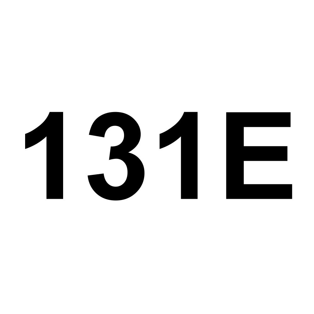 131E