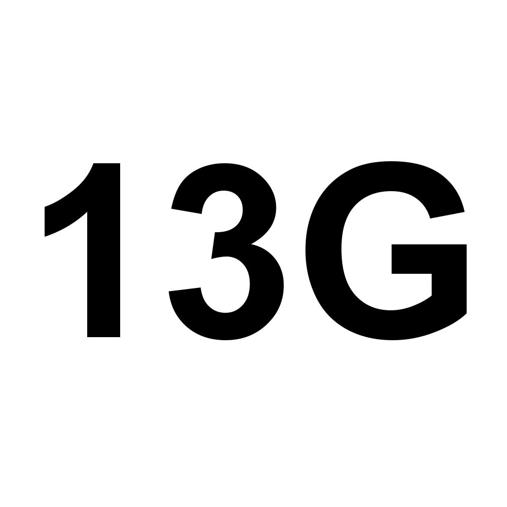 13G