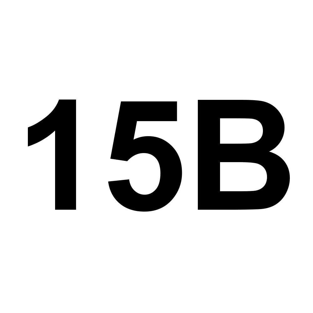 15B