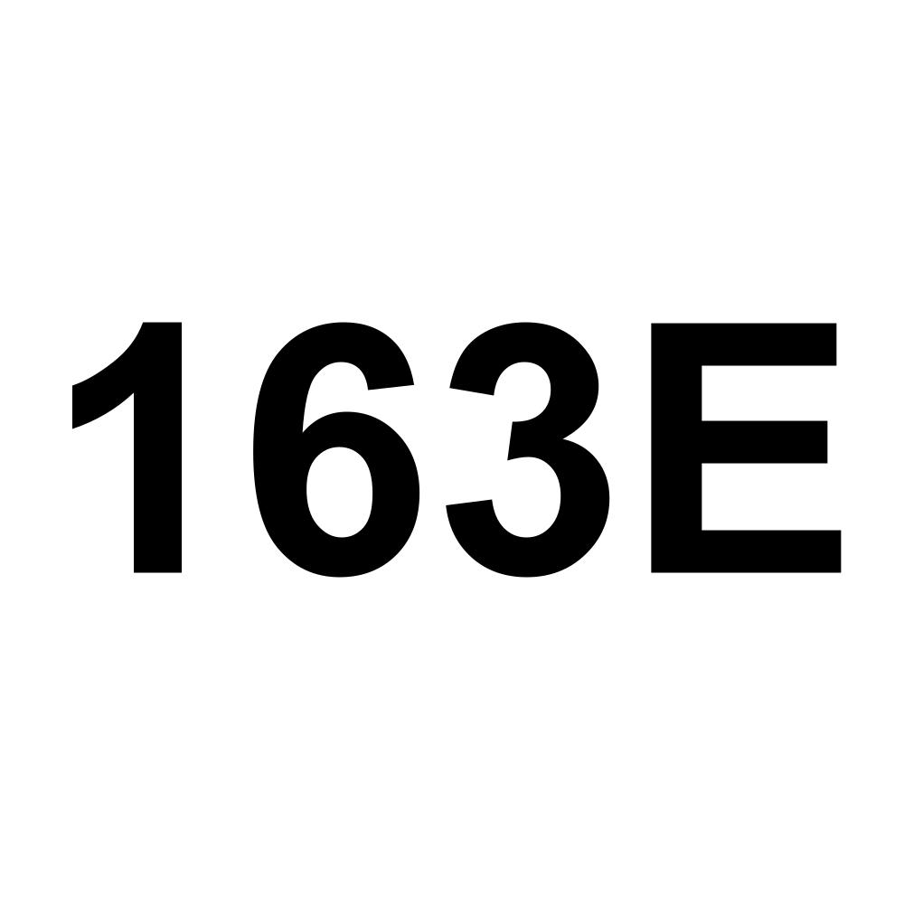 163E