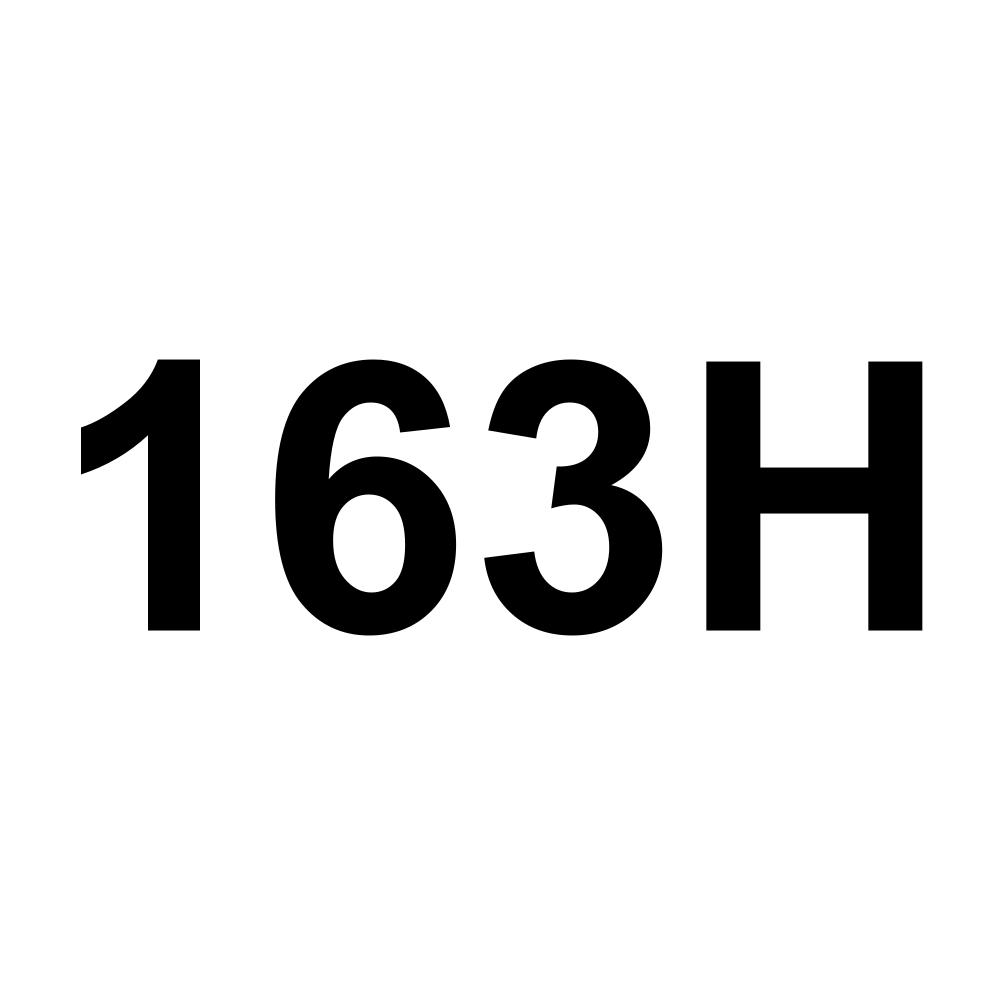 163H