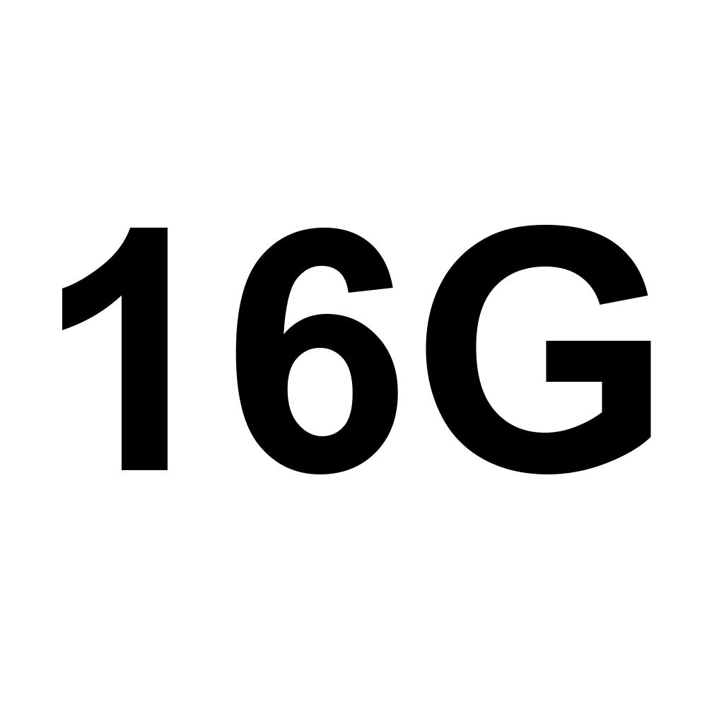 16G