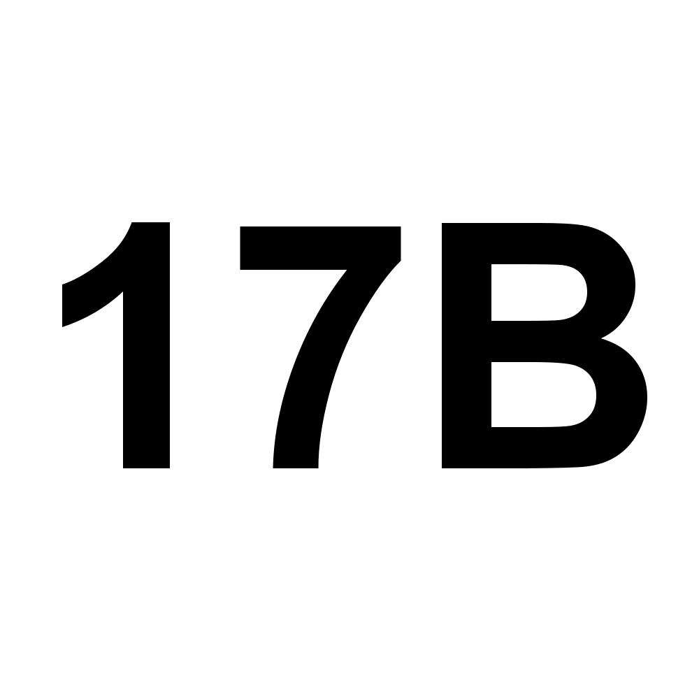 17B