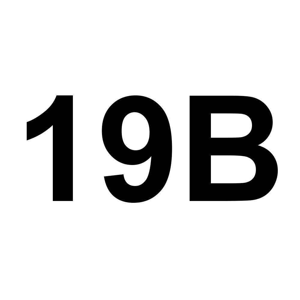 19B