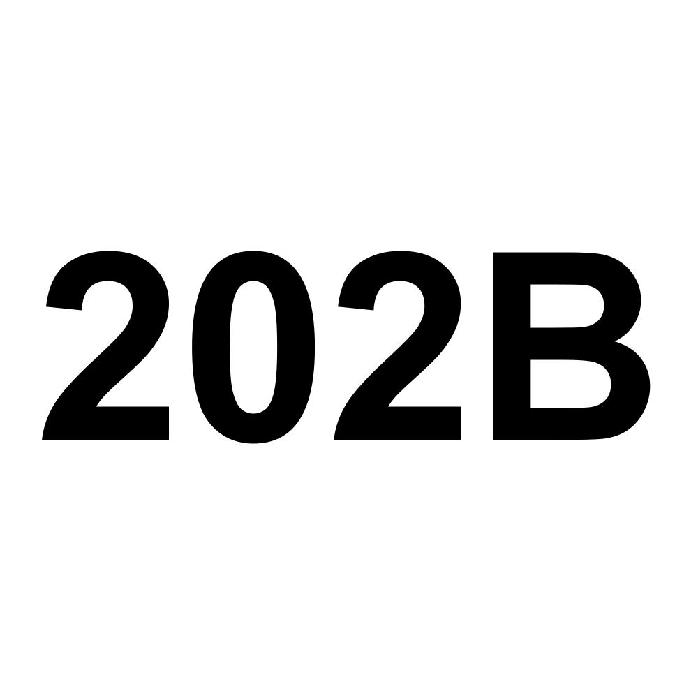 202B