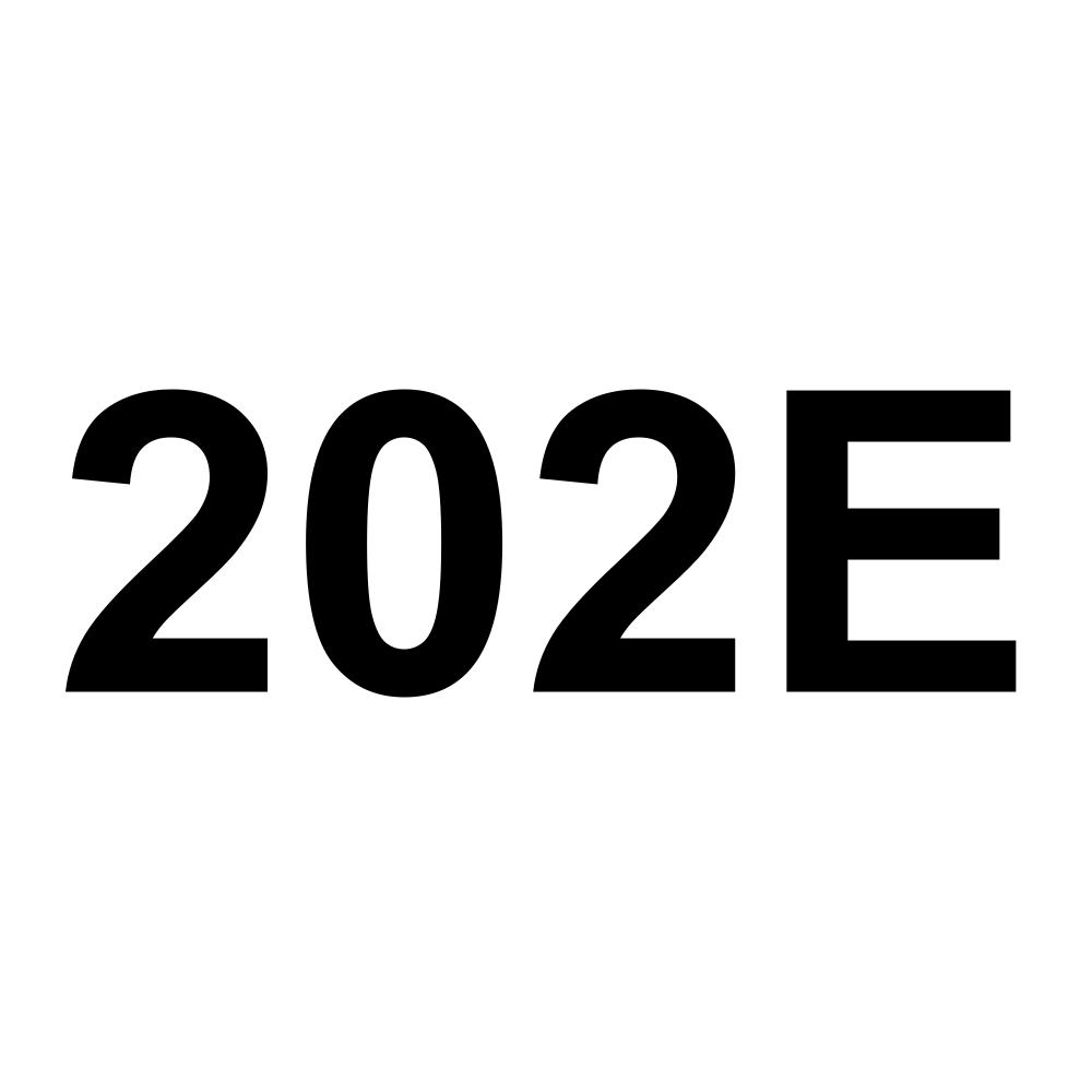 202E