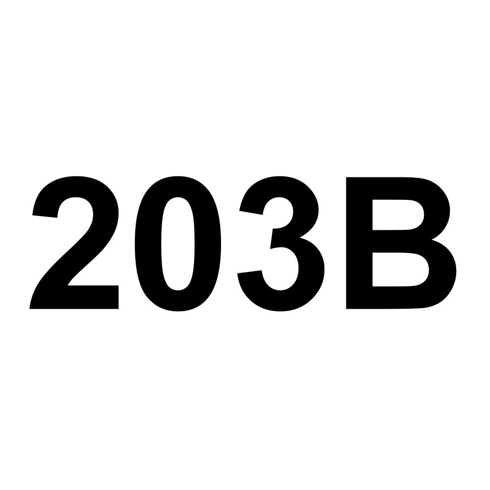 203B