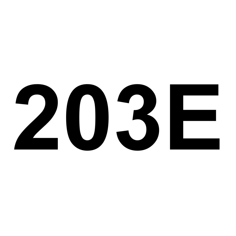203E