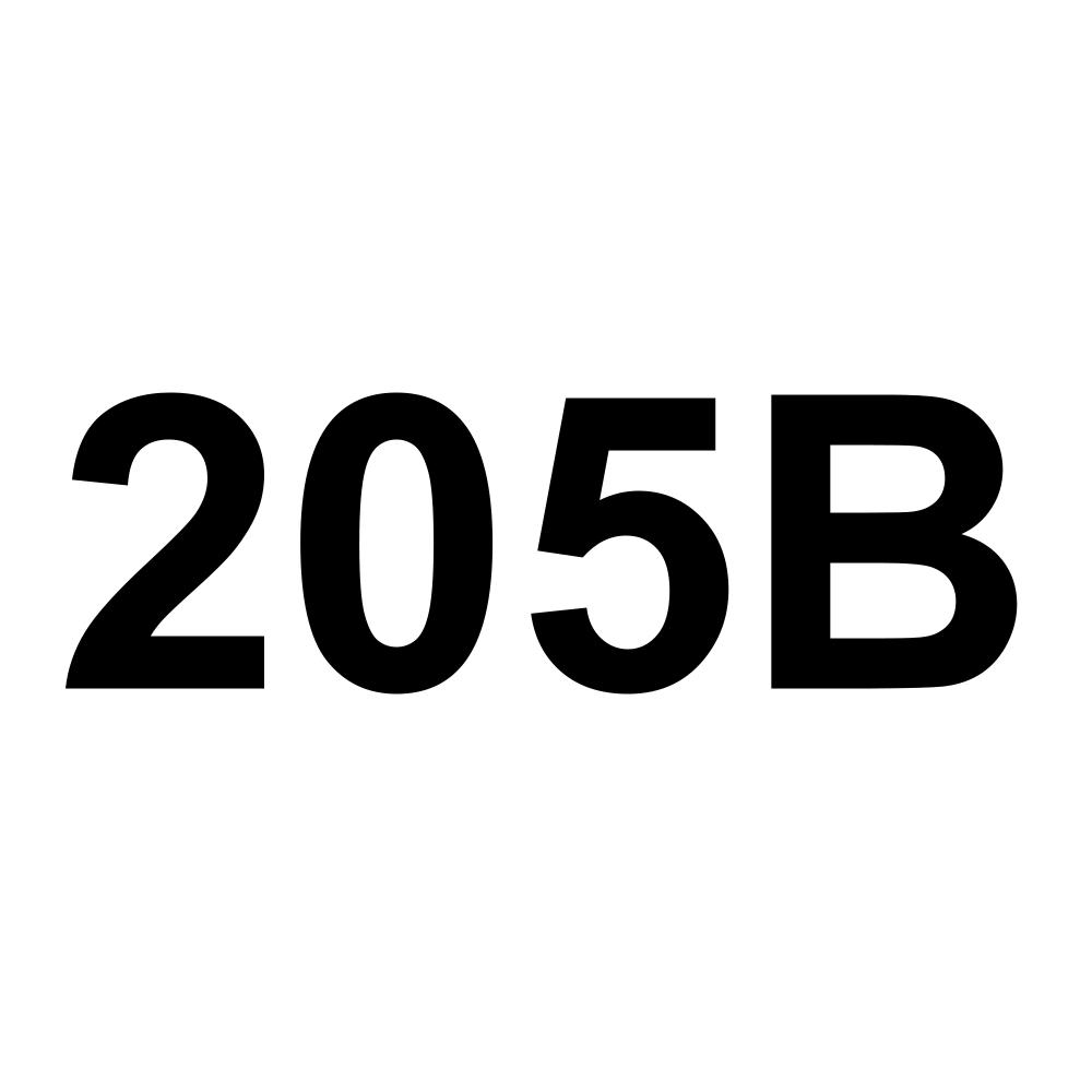 205B
