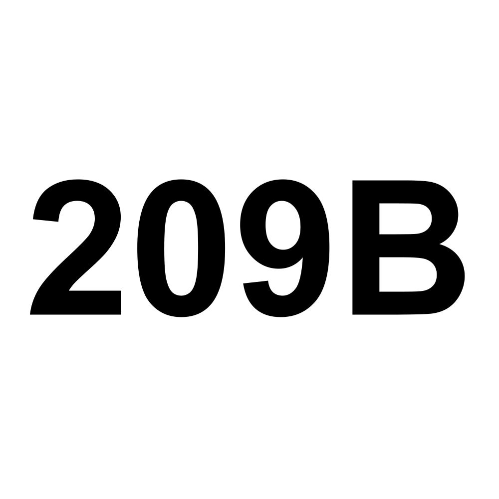209B