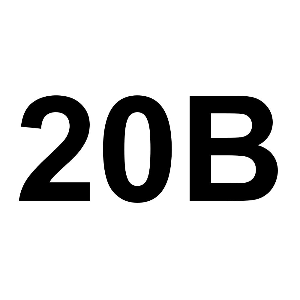 20B