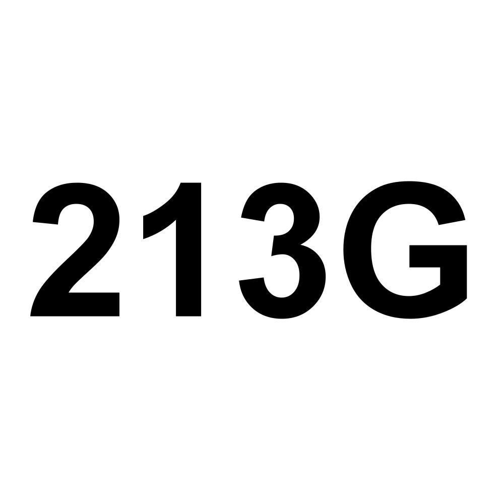 213G