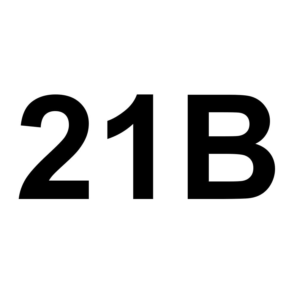 21B