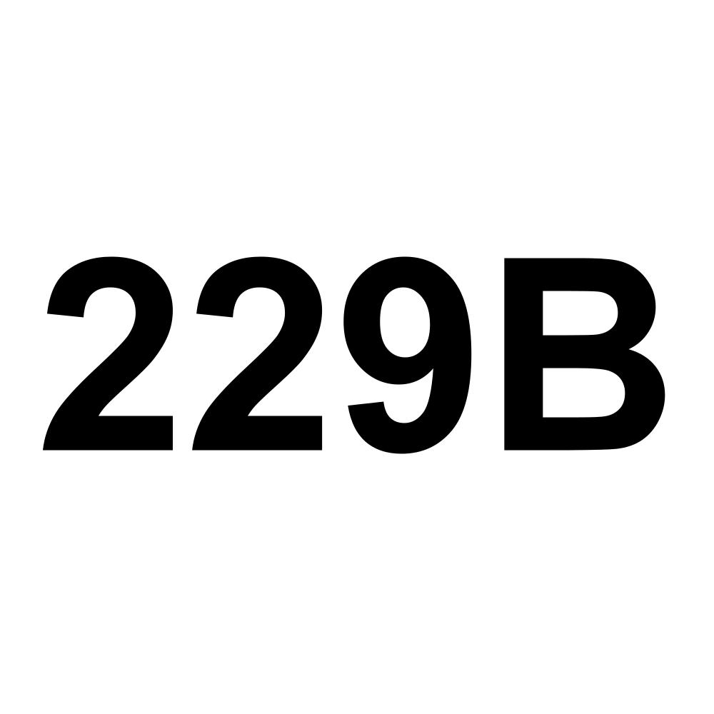 229B