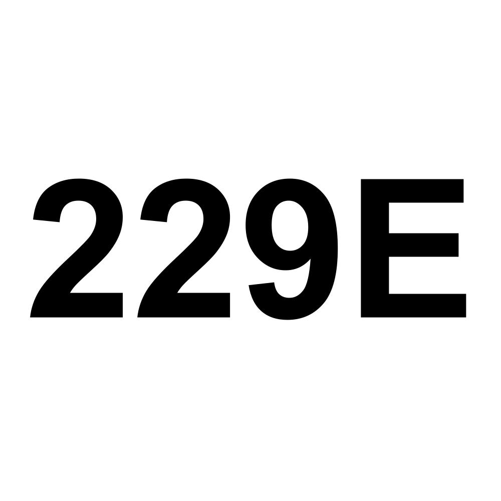 229E