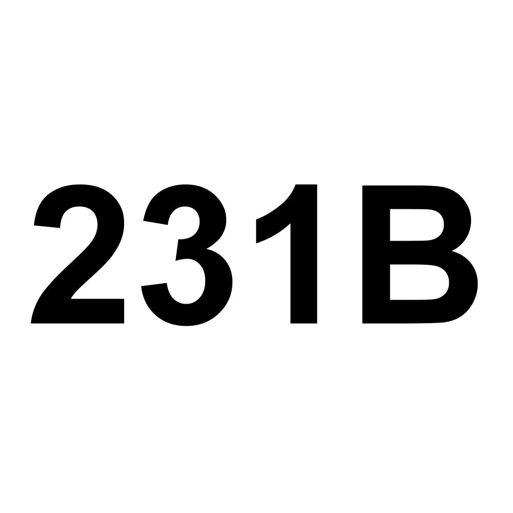 231B