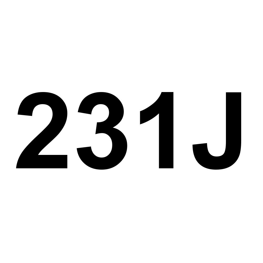 231J