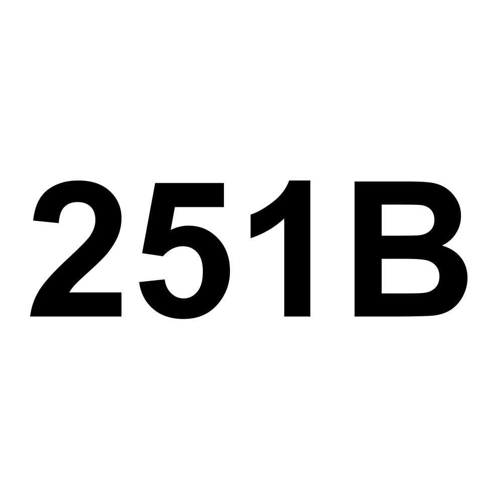 251B