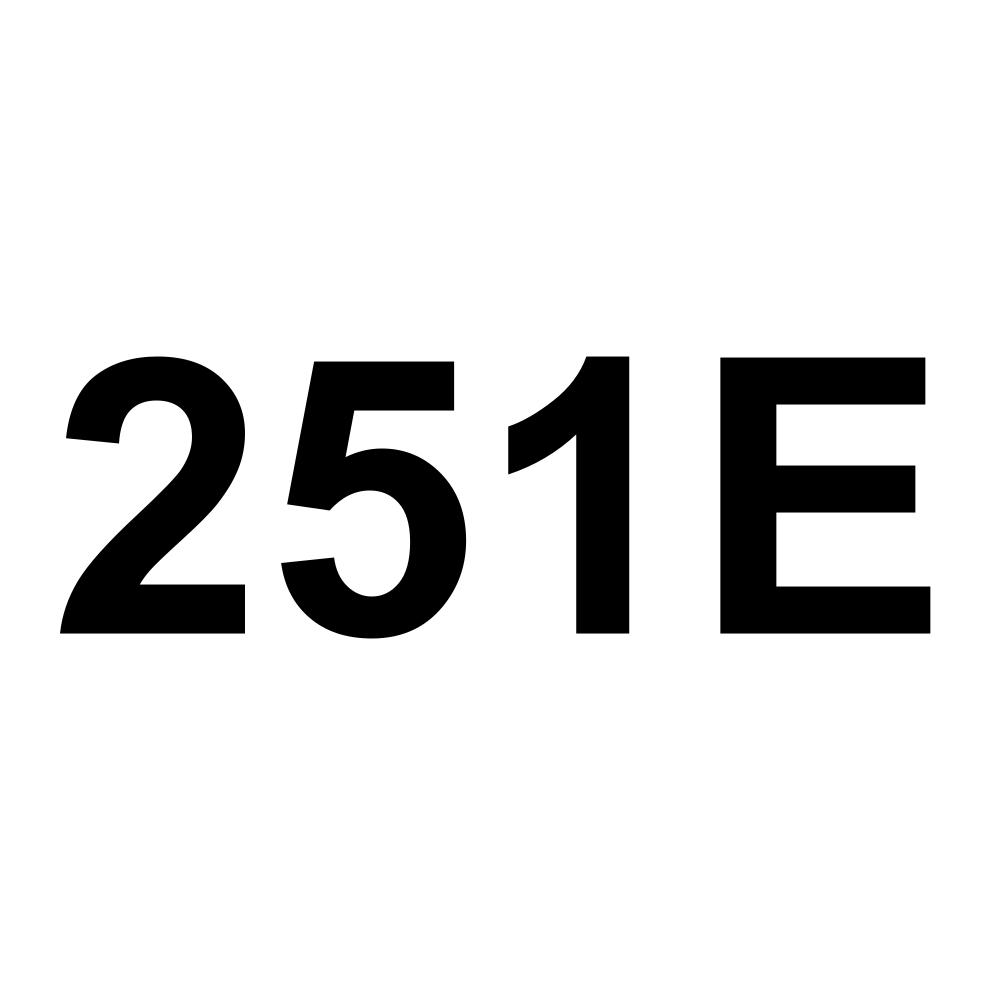 251E