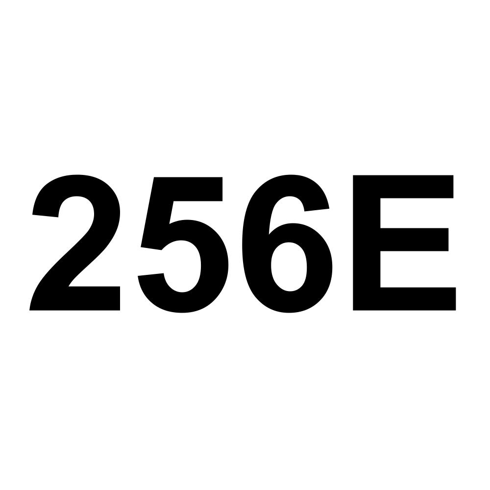 256E