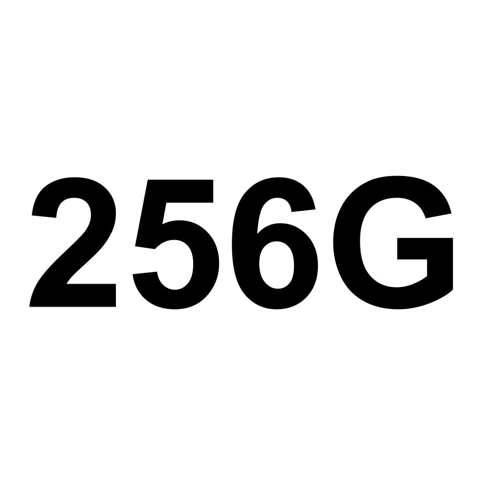 256G