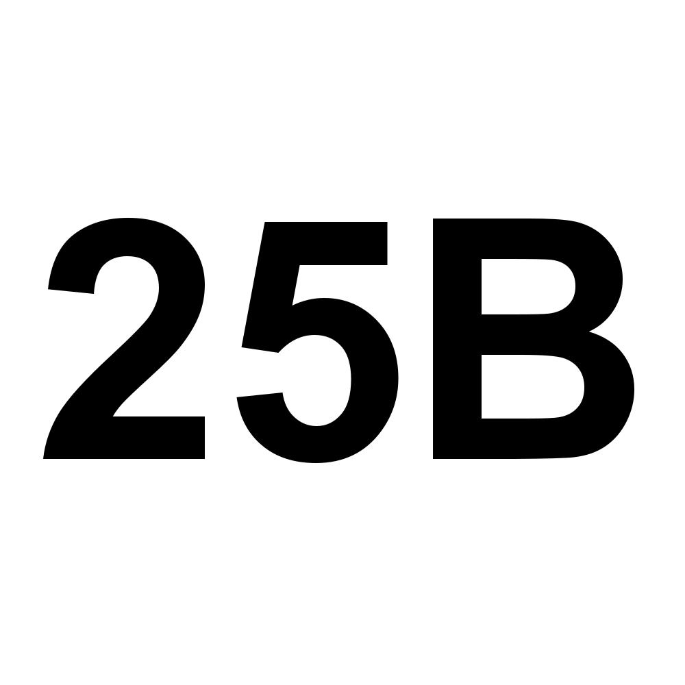25B