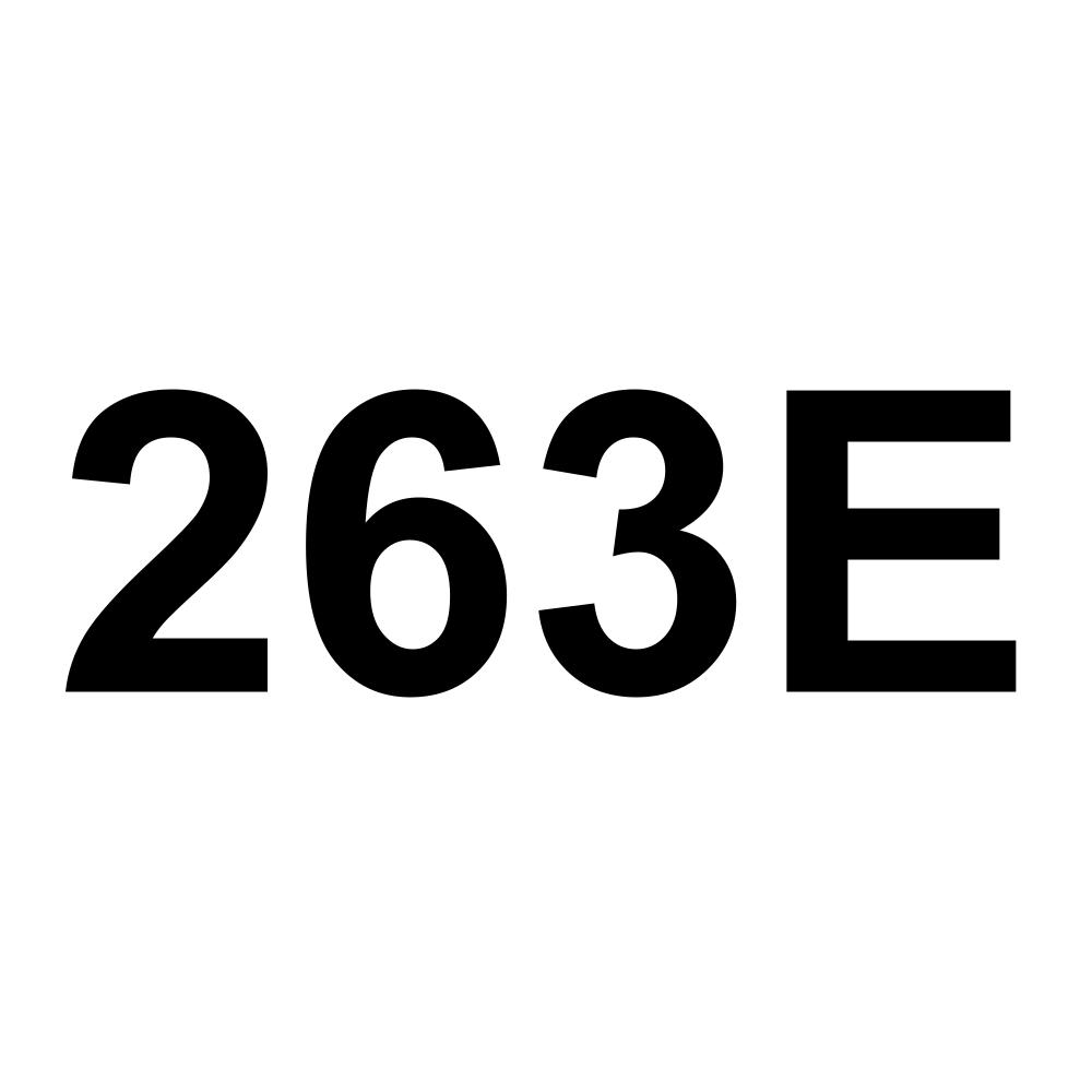 263E
