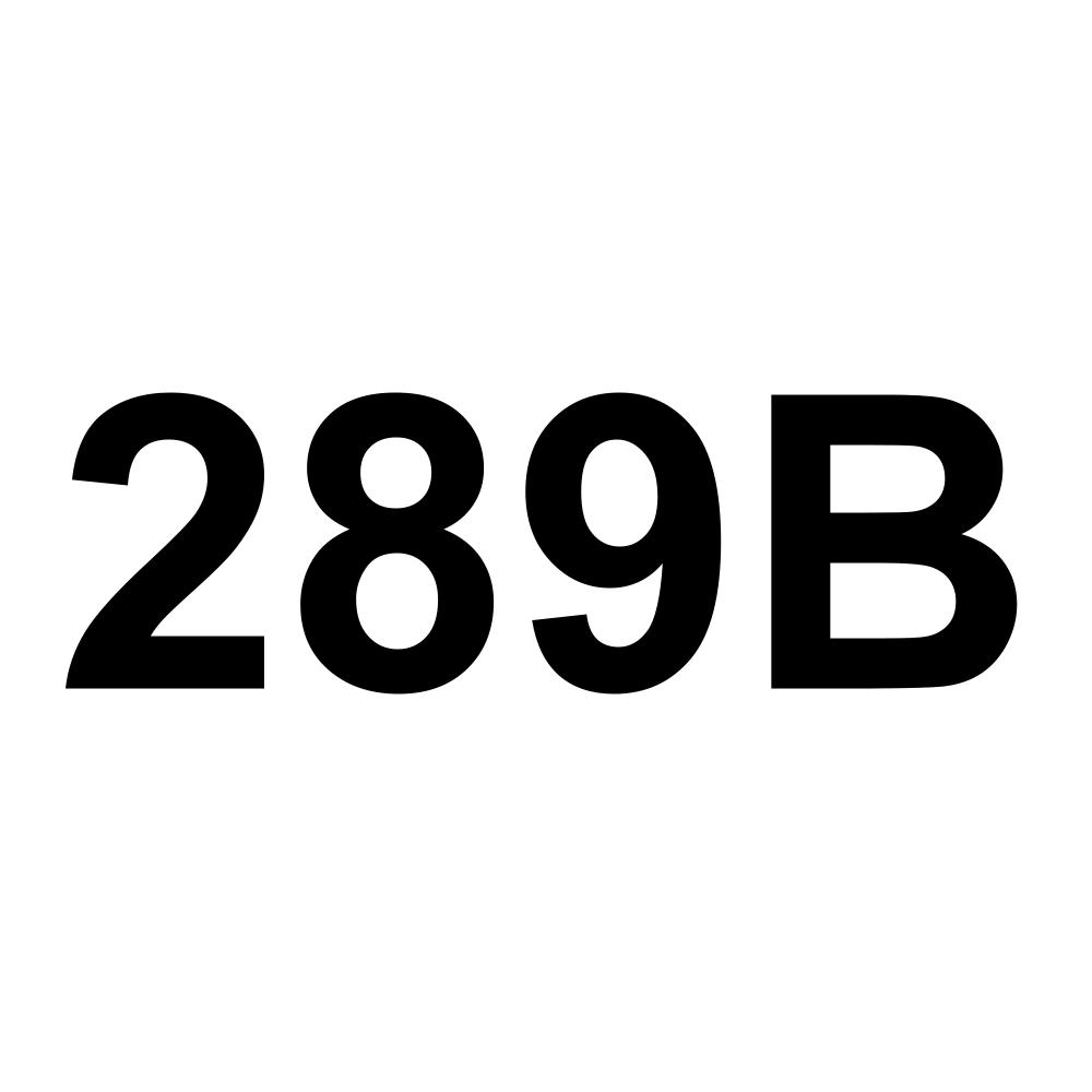 289B