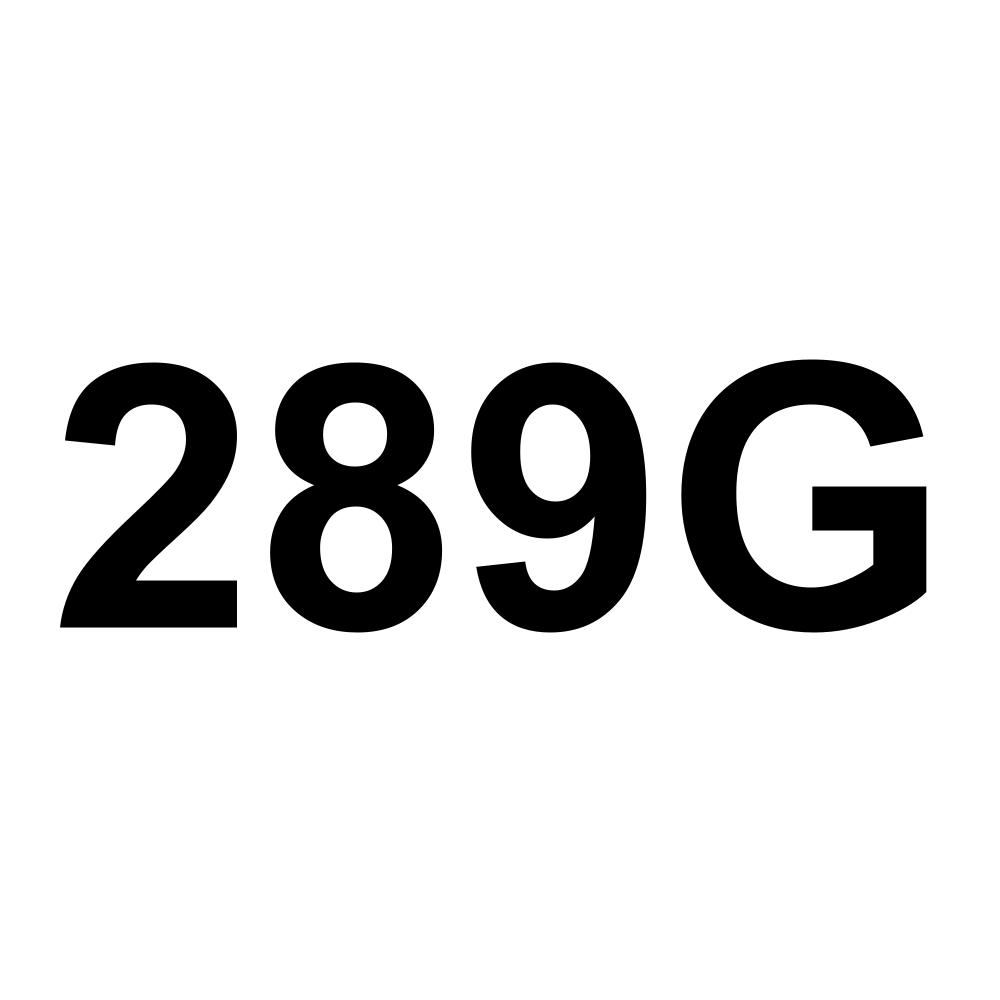 289G
