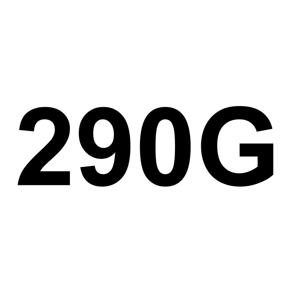 290G