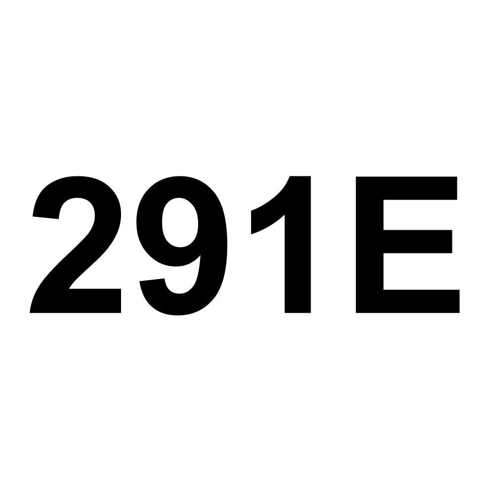 291E