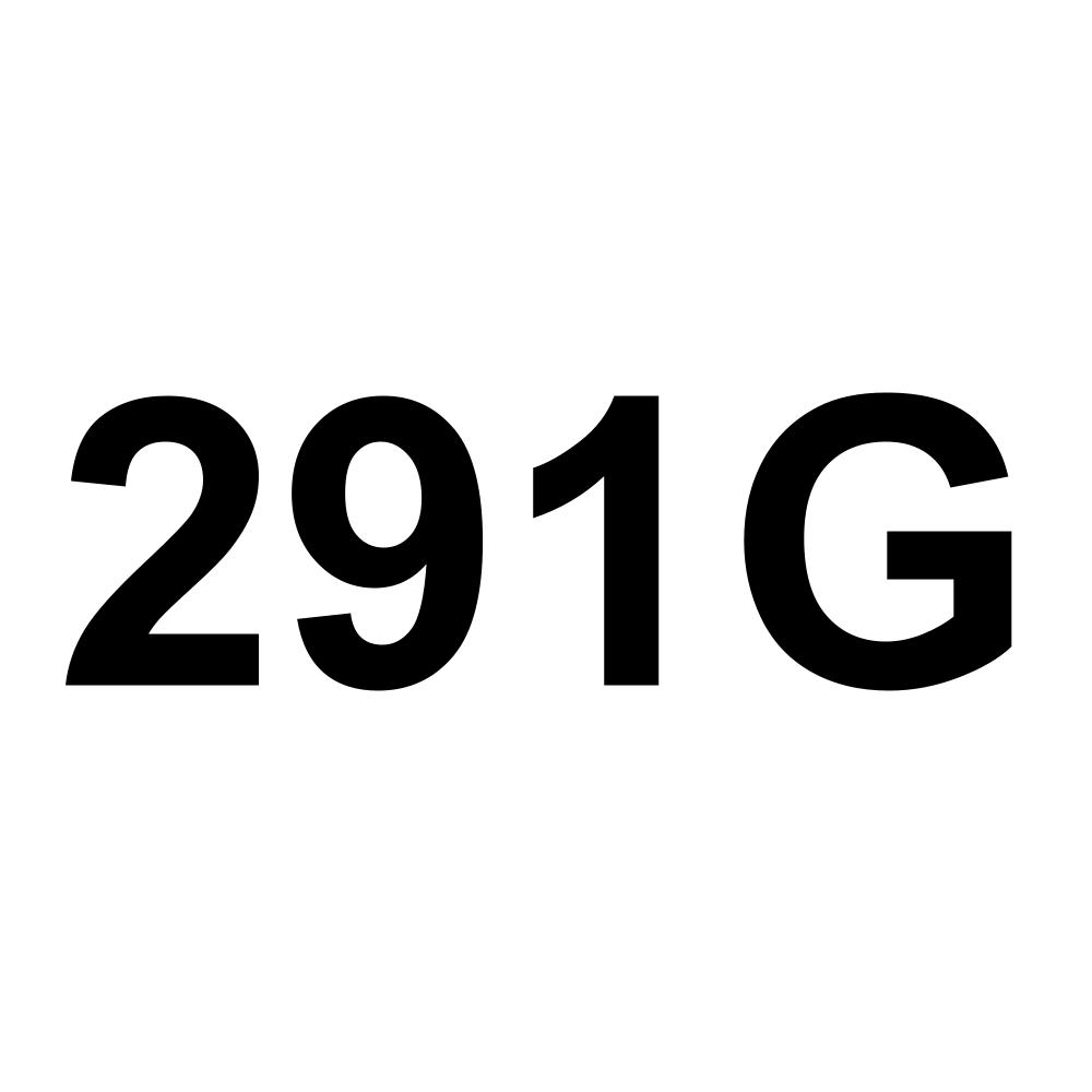 291G
