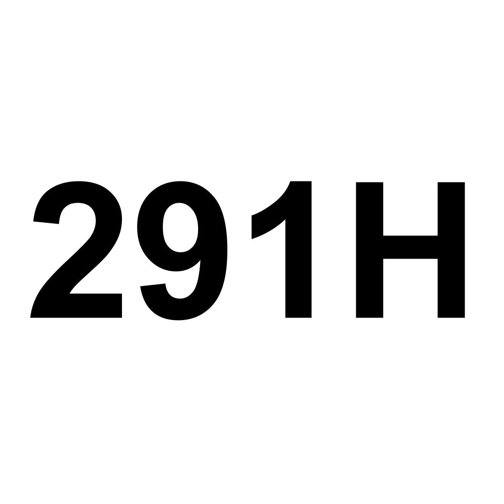291H