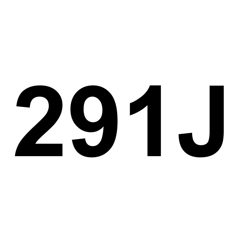 291J