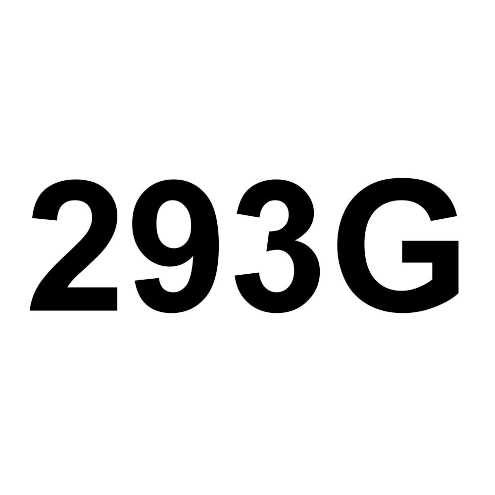 293G