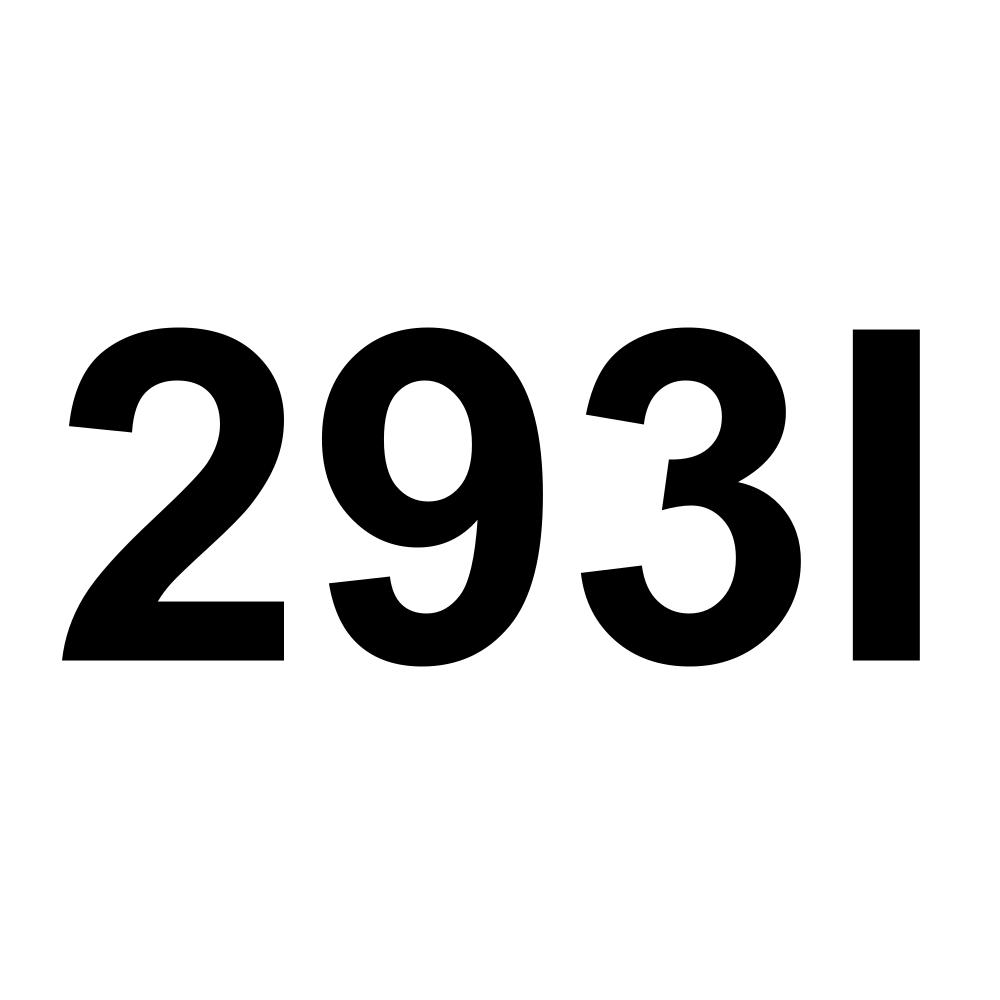 293I