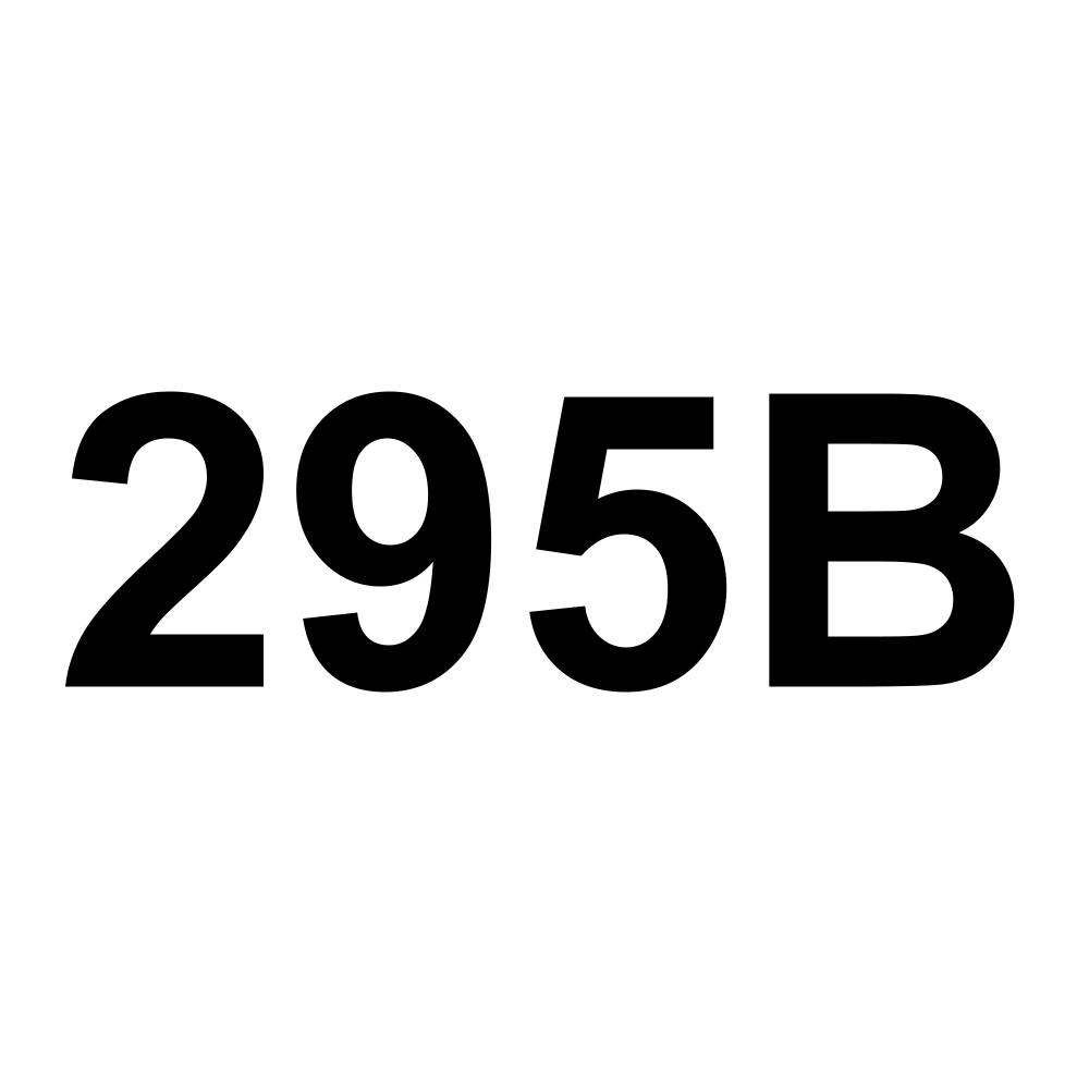295B