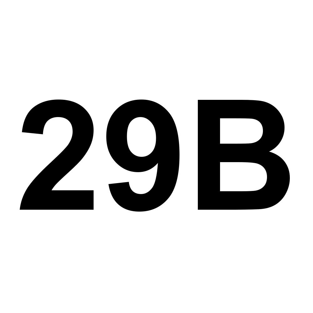 29B