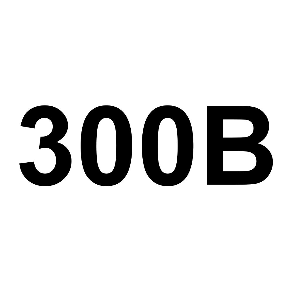 300B
