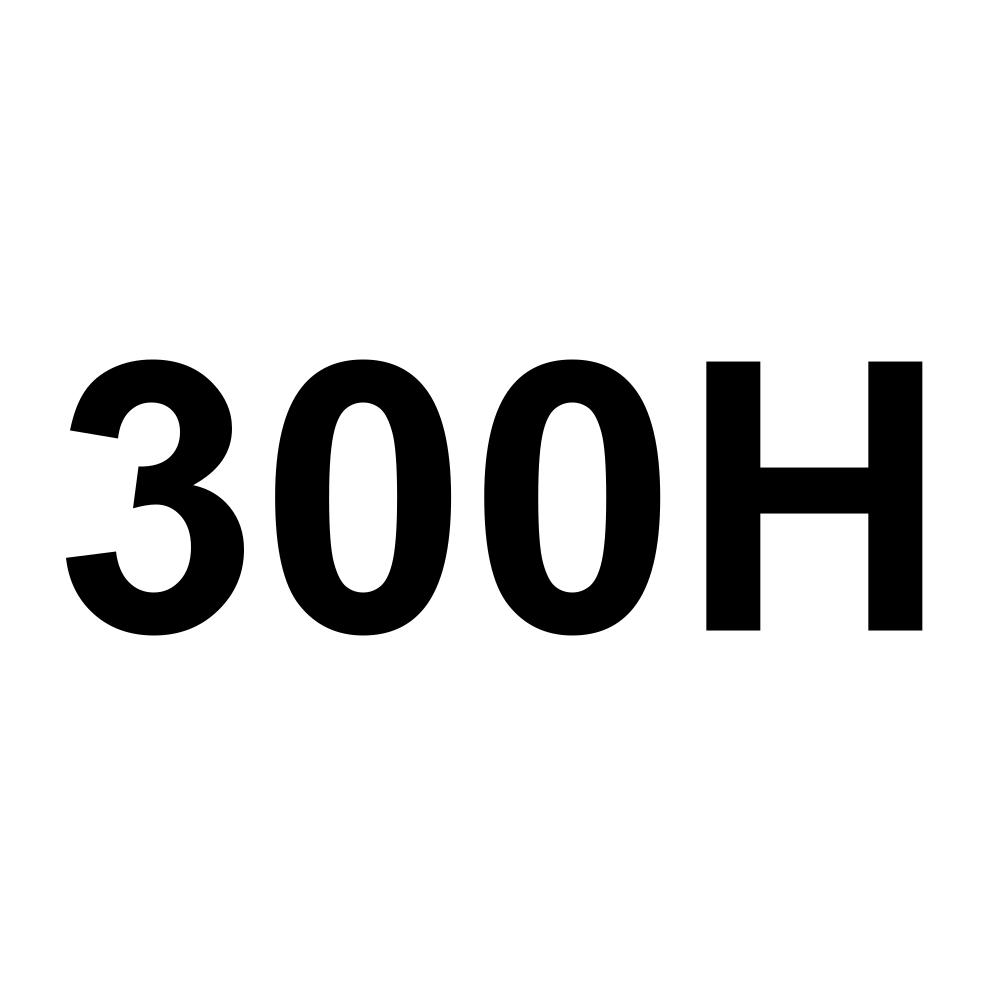 300H