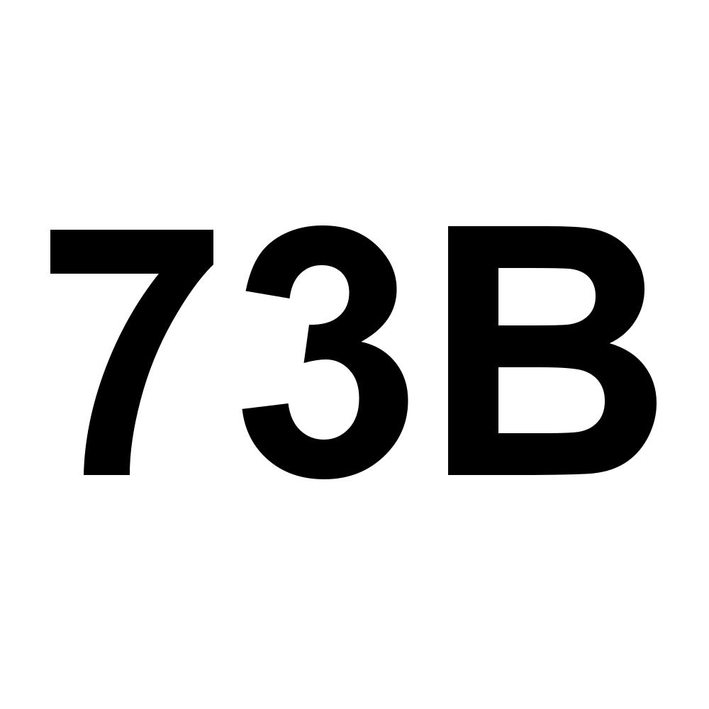 73B