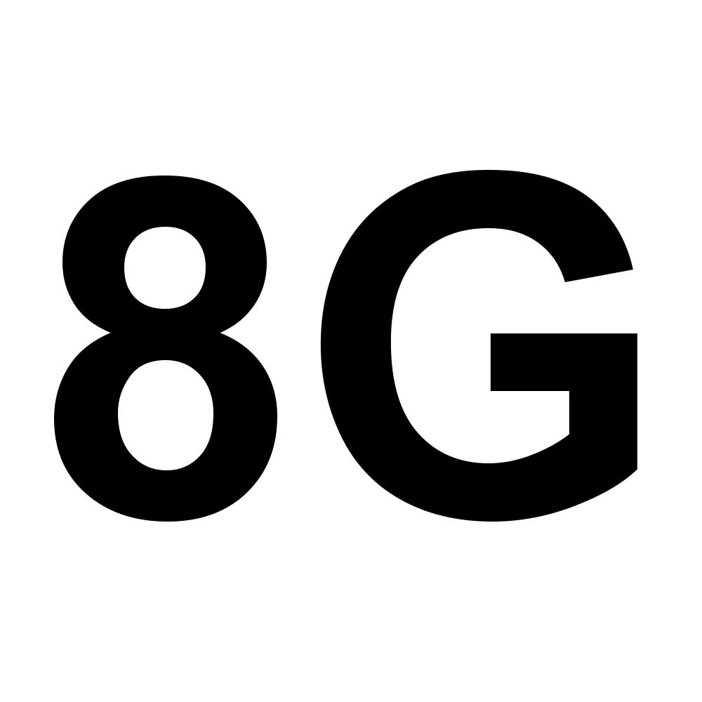 8G